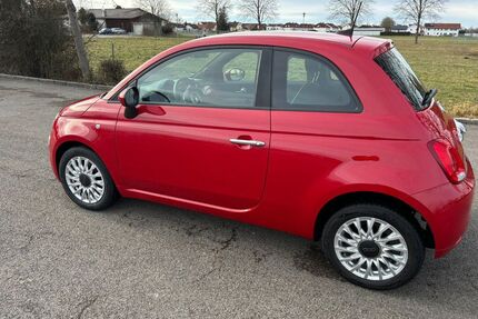 Fiat 500 Gebrauchtwagen
