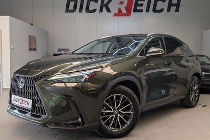 Lexus NX 350h Gebrauchtwagen