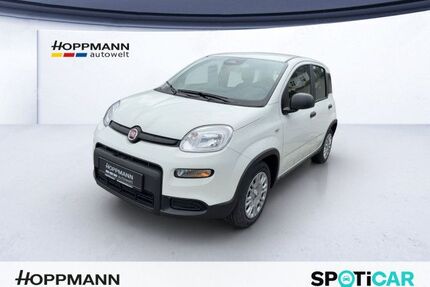 Fiat Panda Gebrauchtwagen