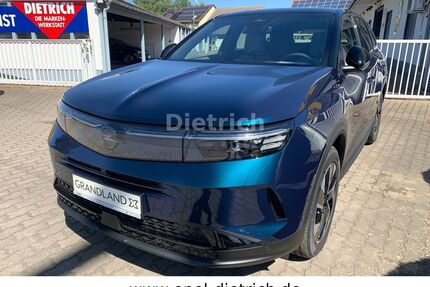 Opel Grandland (X) Gebrauchtwagen