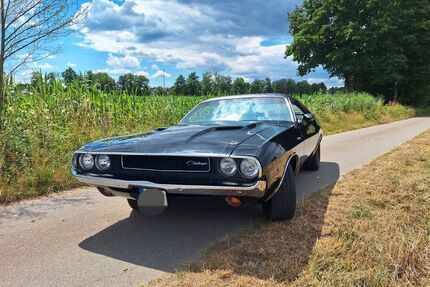 Dodge Challenger Gebrauchtwagen