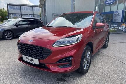 Ford Kuga Gebrauchtwagen