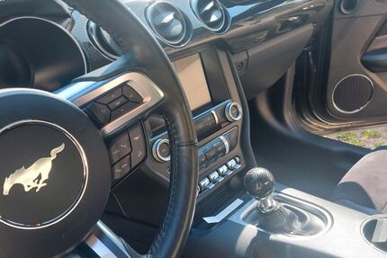 Ford Mustang Gebrauchtwagen