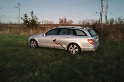 Mercedes-Benz 220 Gebrauchtwagen