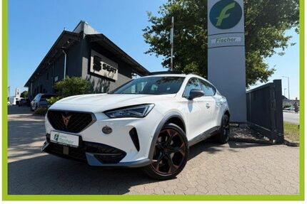 Cupra Formentor Gebrauchtwagen