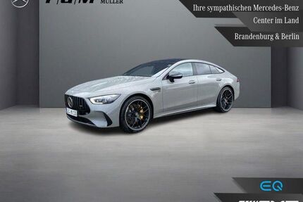 Mercedes-Benz AMG GT Gebrauchtwagen