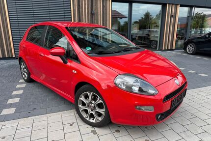 Fiat Punto Gebrauchtwagen