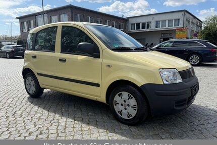 Fiat Panda Gebrauchtwagen