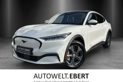 Ford Mustang Mach-E Gebrauchtwagen