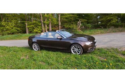 Audi A5 Gebrauchtwagen