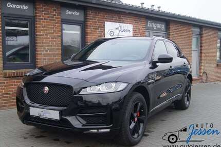 Jaguar F-Pace Gebrauchtwagen