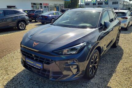 Cupra Terramar Gebrauchtwagen