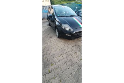 Fiat Punto Gebrauchtwagen