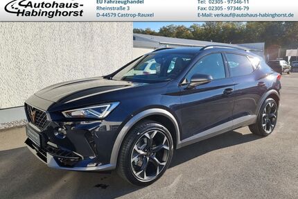 Cupra Formentor Gebrauchtwagen