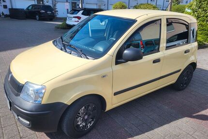 Fiat Panda Gebrauchtwagen