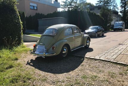 VW Käfer Gebrauchtwagen