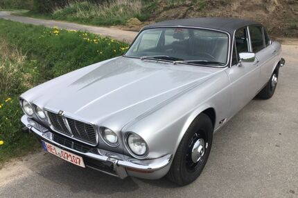 Jaguar XJ6 Gebrauchtwagen