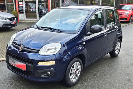 Fiat Panda Gebrauchtwagen