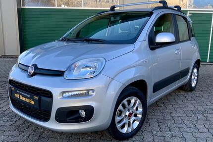 Fiat Panda Gebrauchtwagen