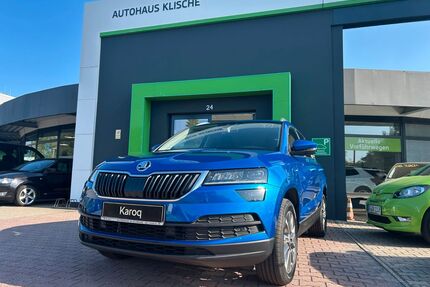 Skoda Karoq Gebrauchtwagen