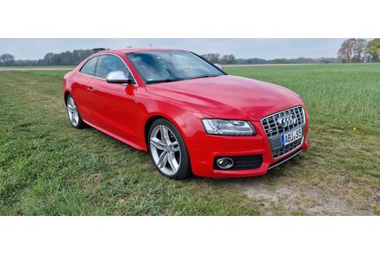 Audi S5 Gebrauchtwagen