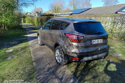 Ford Kuga Gebrauchtwagen