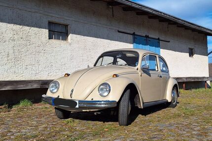 VW Käfer Gebrauchtwagen