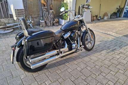 Harley Davidson Softail Gebrauchtwagen