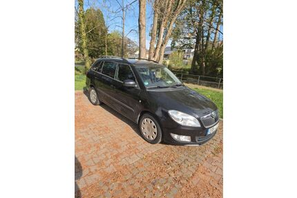Skoda Fabia Gebrauchtwagen