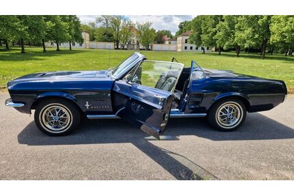 Ford Mustang Gebrauchtwagen