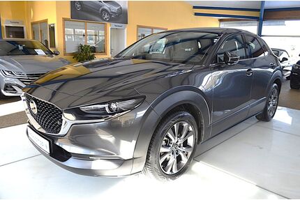 Mazda CX-30 Gebrauchtwagen