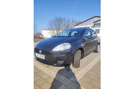 Fiat Punto Gebrauchtwagen