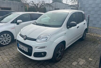 Fiat Panda Gebrauchtwagen