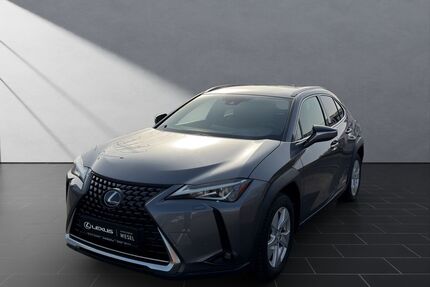 Lexus UX Gebrauchtwagen
