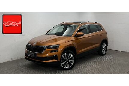 Skoda Karoq Gebrauchtwagen