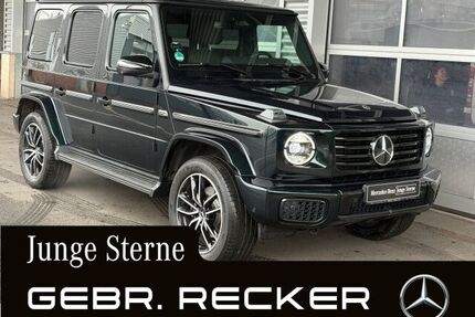 Mercedes-Benz G 450 Gebrauchtwagen