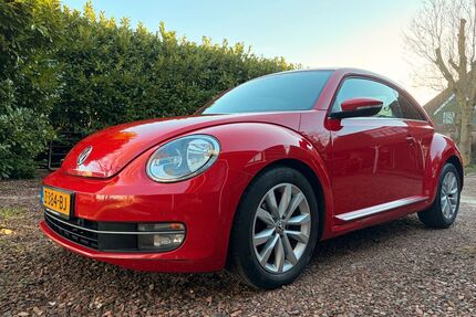 VW Beetle Gebrauchtwagen