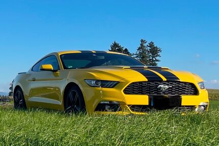 Ford Mustang Gebrauchtwagen