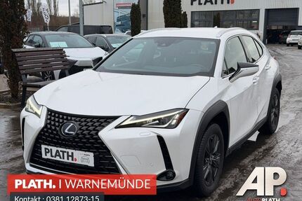 Lexus UX Gebrauchtwagen