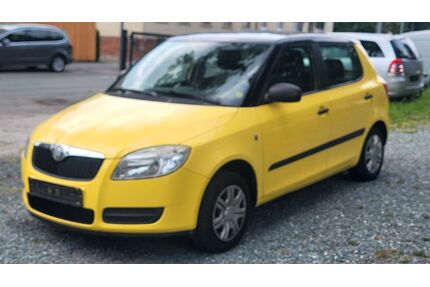 Skoda Fabia Gebrauchtwagen