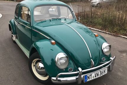 VW Käfer Gebrauchtwagen