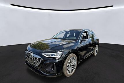 Audi Q8 e-tron Gebrauchtwagen