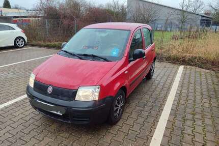 Fiat Panda Gebrauchtwagen