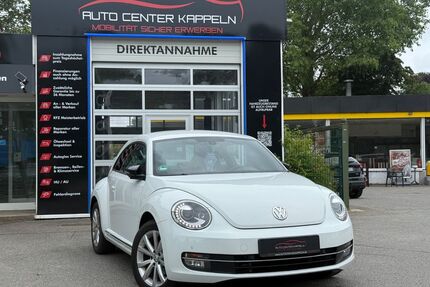VW Beetle Gebrauchtwagen