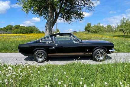 Ford Mustang Gebrauchtwagen