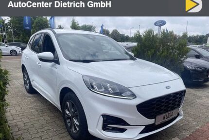 Ford Kuga Gebrauchtwagen