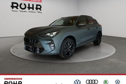 Cupra Terramar Gebrauchtwagen