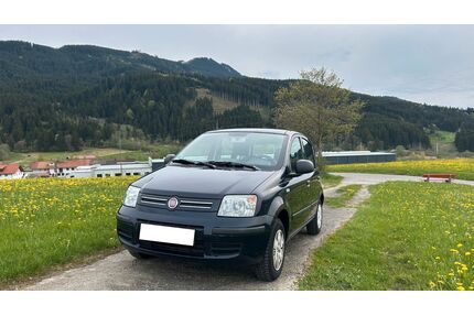 Fiat Panda Gebrauchtwagen