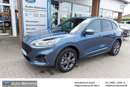 Ford Kuga Gebrauchtwagen