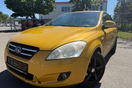 Kia ceed / Ceed Gebrauchtwagen